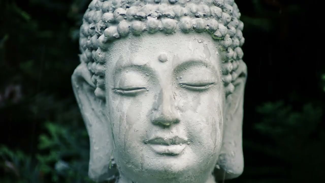 SOLUM - Machina [oficjalny visualizer]