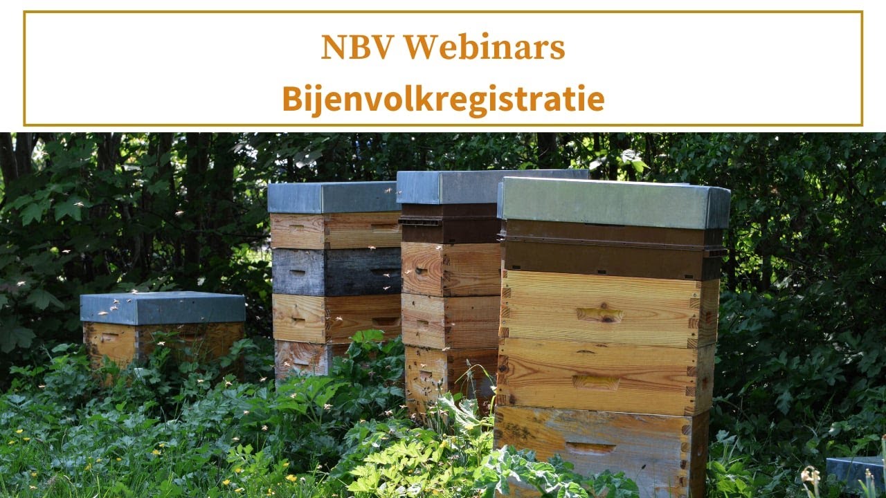 NBV Webinar Bijenvolkregistratie