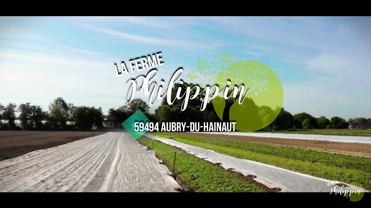 Ferme Philippin Aubry Du Hainaut ( Hauts de France )