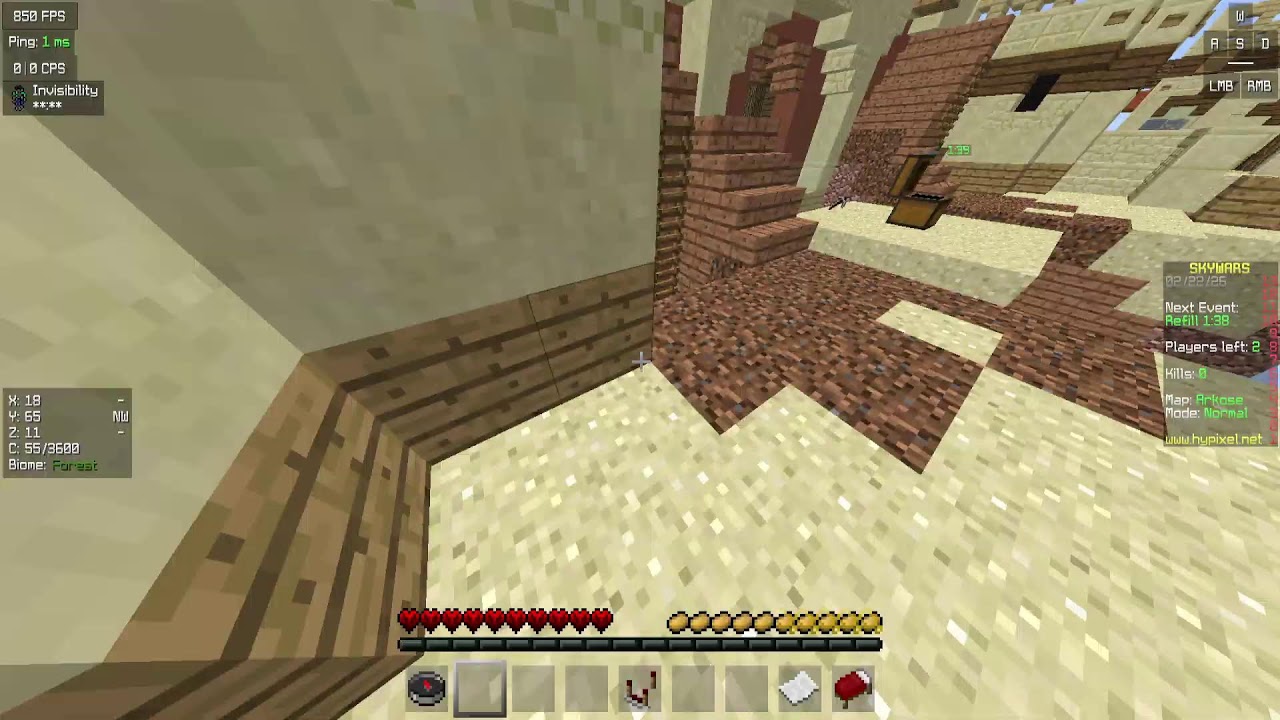 Hypixel Stream