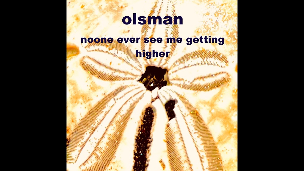 Noone ever see me getting higher - olsman