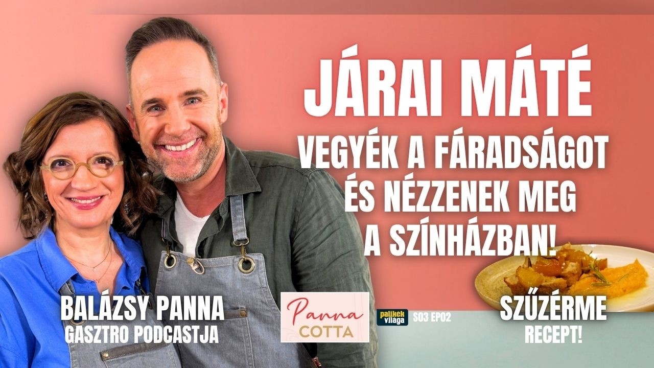 JÁRAI MÁTÉ: VEGYÉK A FÁRADTSÁGOT ÉS NÉZZENEK MEG SZÍNHÁZBAN! | Panna Cotta | Palikék Világa