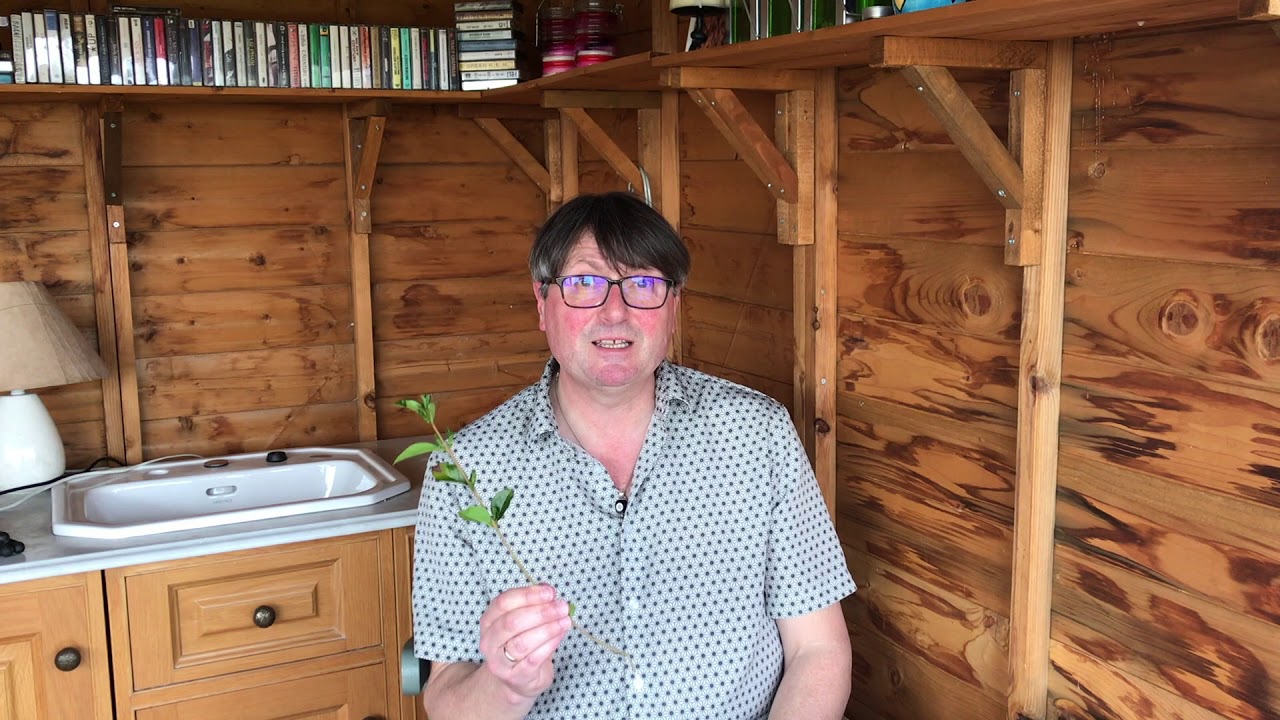 Simon Armitage – Magnetic Field Recordings, episode 2.