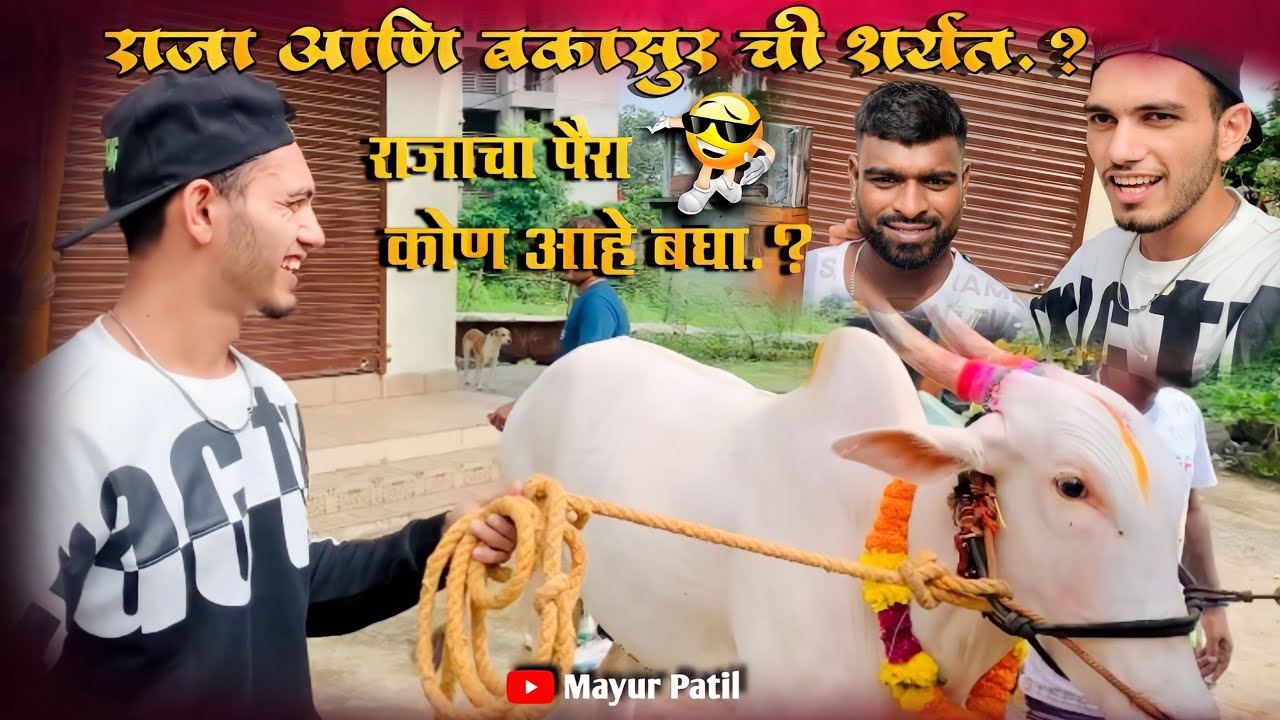 राजाचा पैरा कोण आहे बघा .?  #mayurpatil