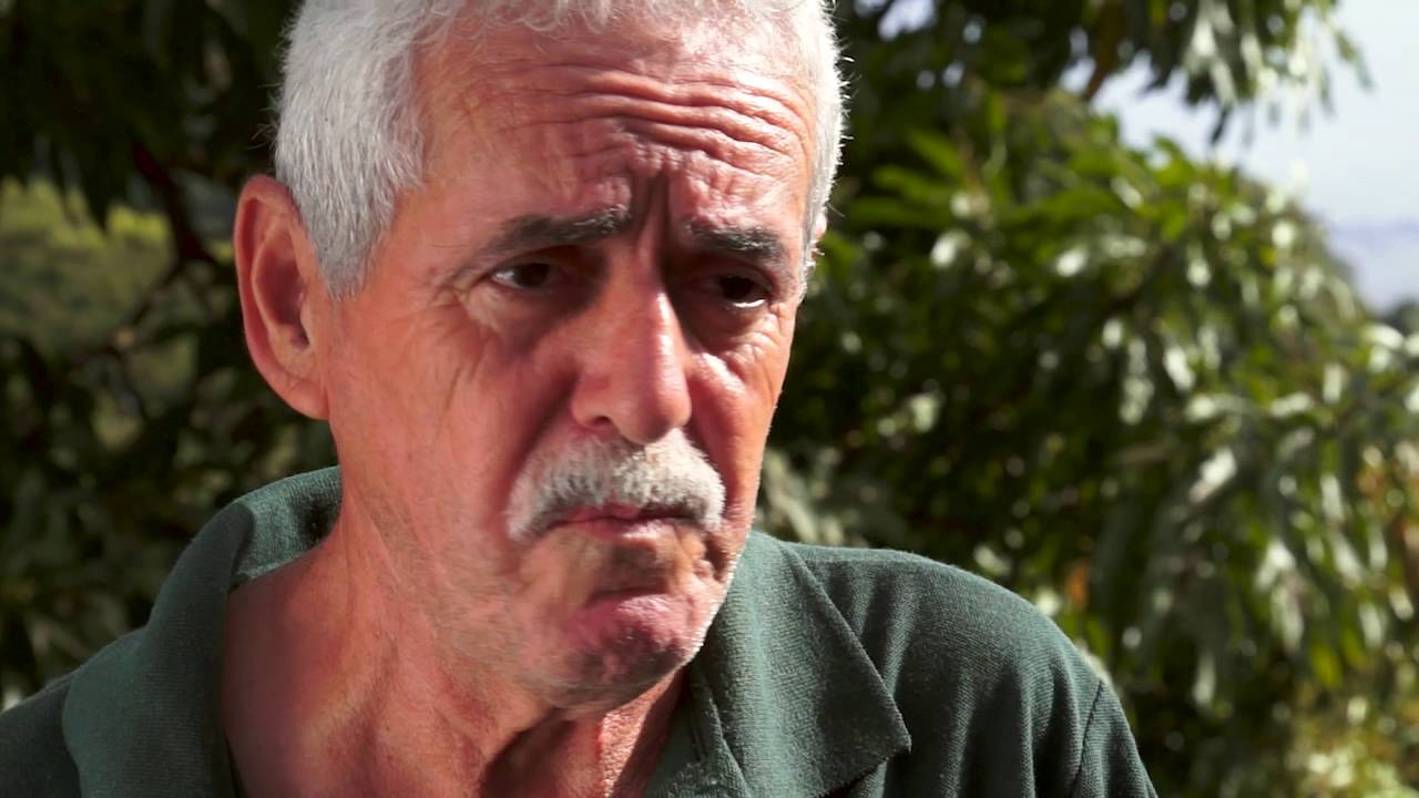 Del Campo a la Mesa - Siembra, de lo rural a la urbe