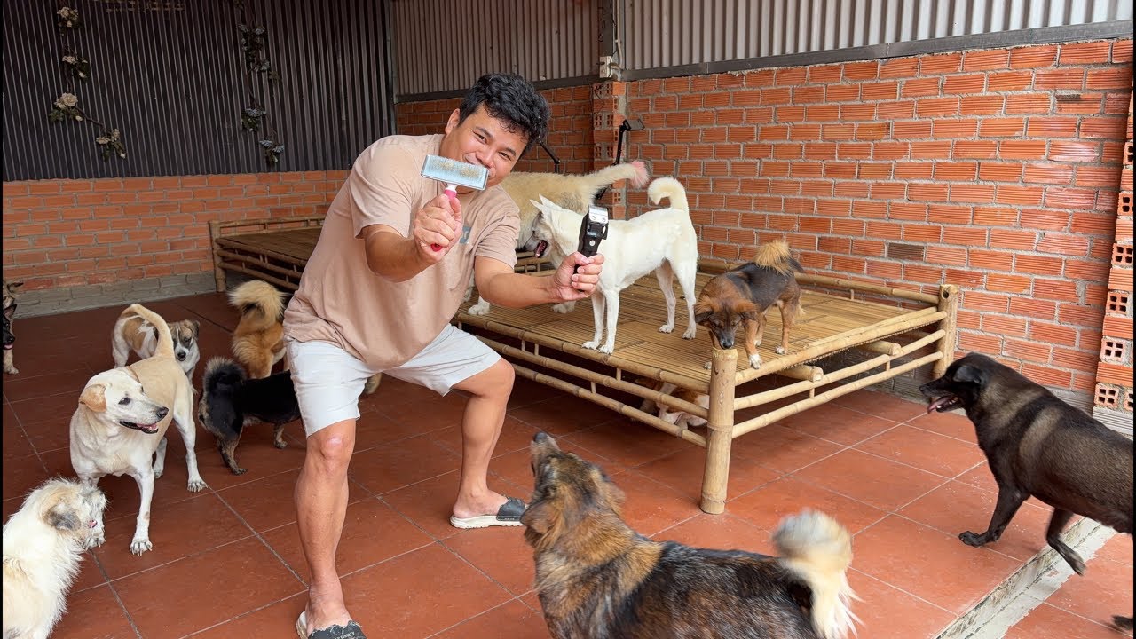 Làm đẹp 1 chút cho mấy bé