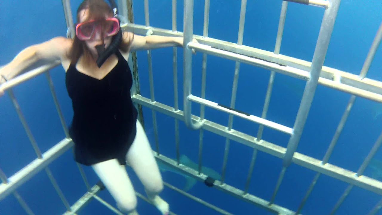 Shark Cage Dive Hawaii North Shore HD