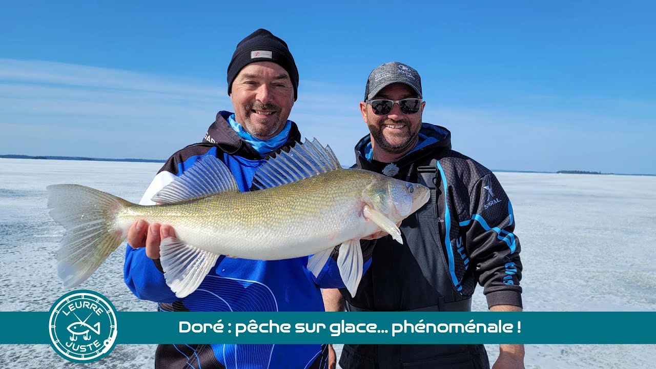 Doré : pêche sur glace… phénoménale !