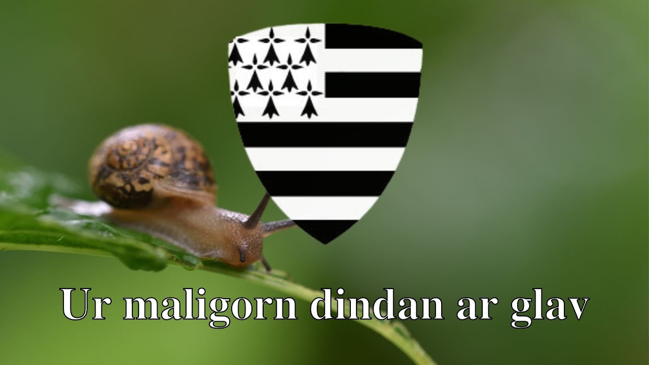 Ur maligorn dindan ar glav