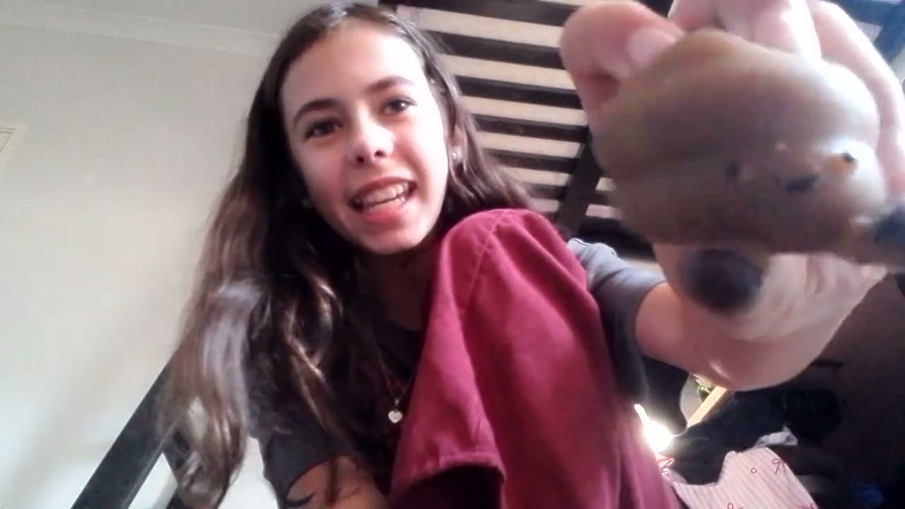 HELLO IM MACETY AND IM HERE TO SHOW  MY FIDGETS !!😁🤩