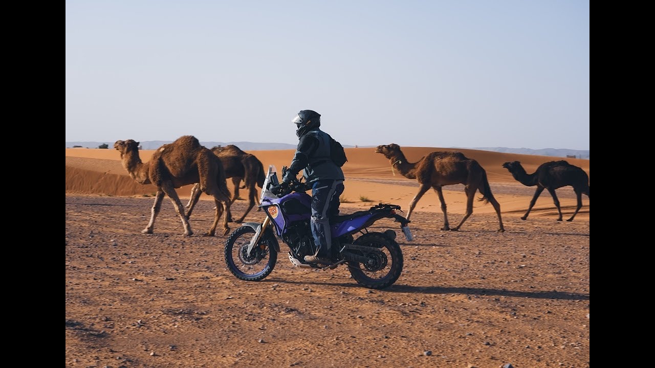 Morocco Motorcycle Tour 2024
