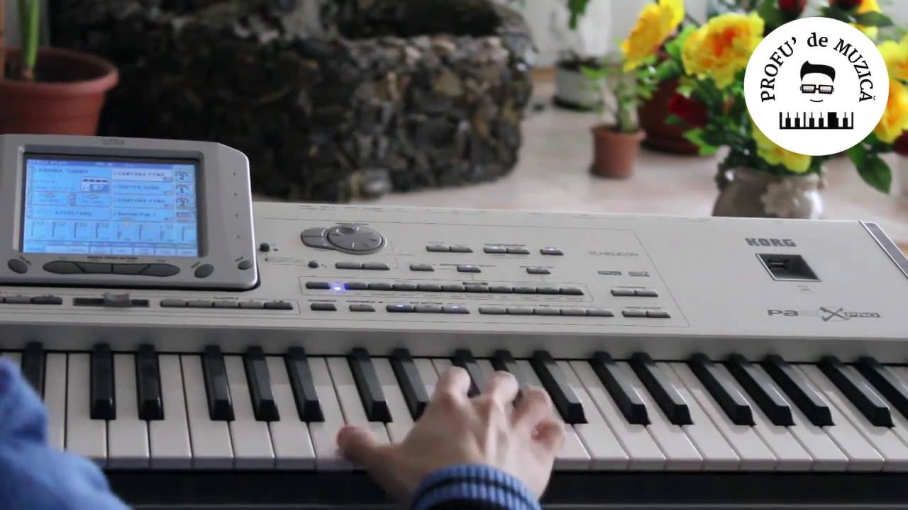 PROFU' de MUZICA - Silviana - tutorial orga hora, lectii orga incepatori, meditatii orga