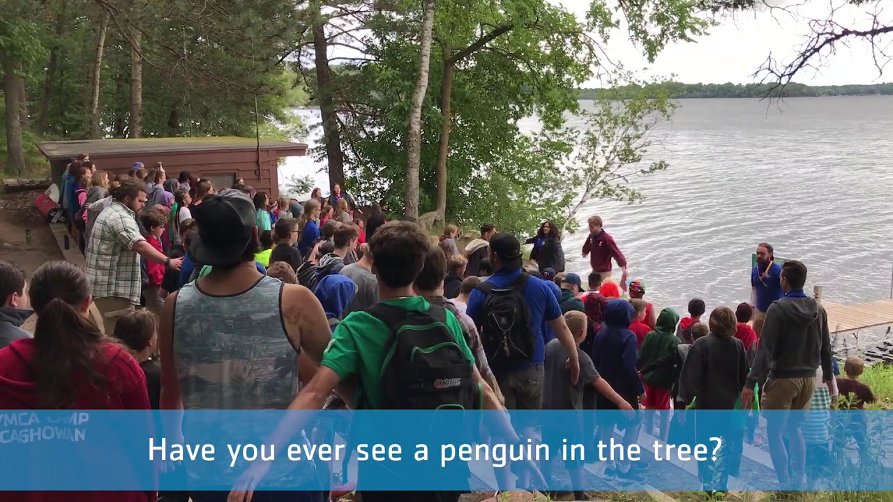 Penguin Song - YMCA Camp Icaghowan 2017