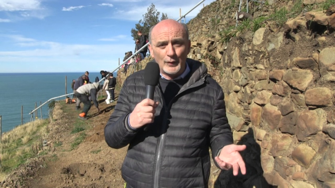 Recupero Vigneti a Manarola 07-03-2017