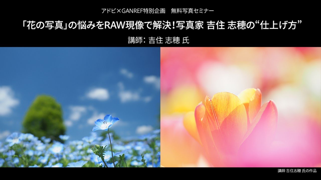 【写真家セミナー】「花の写真」の悩みをRAW現像で解決！写真家 吉住志穂の“仕上げ方”｜Lightroom －アドビ公式－