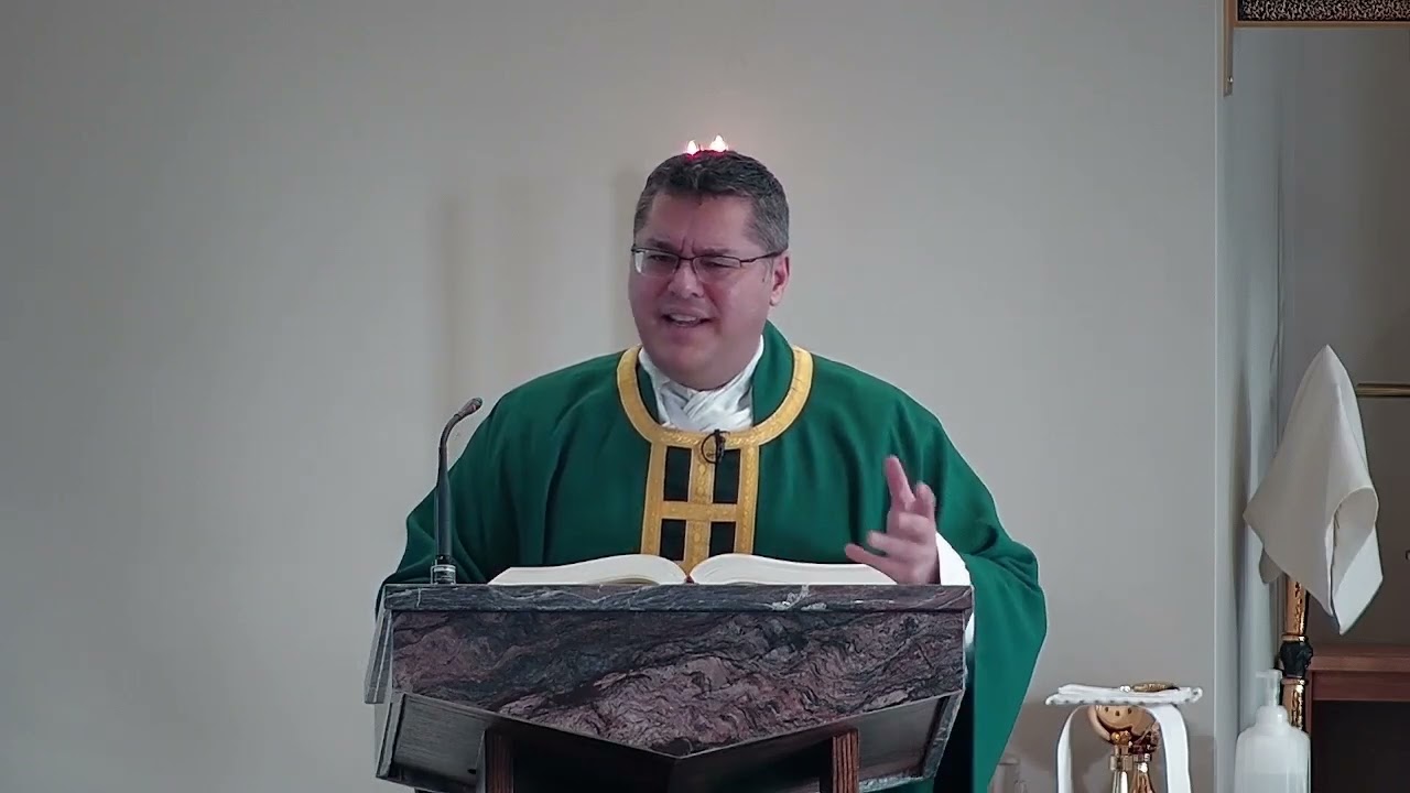 Homily - 5th Sunday in Ordinary Time