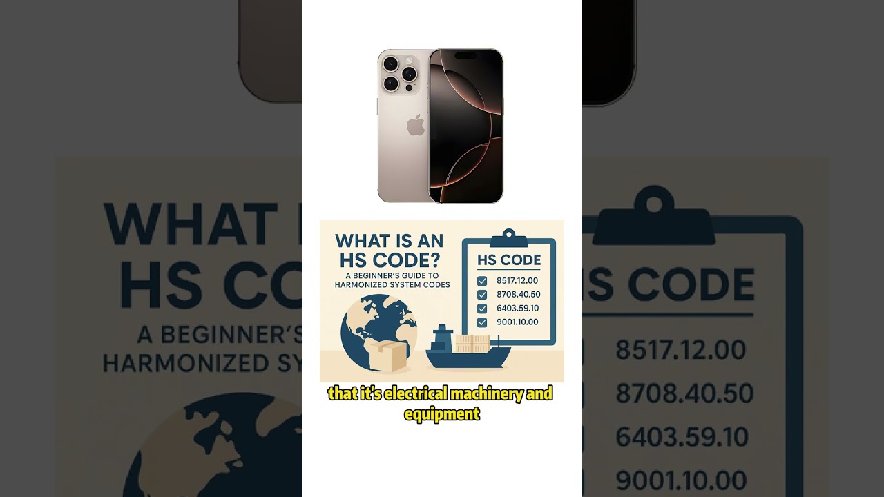 What are HS Codes in International Trade?