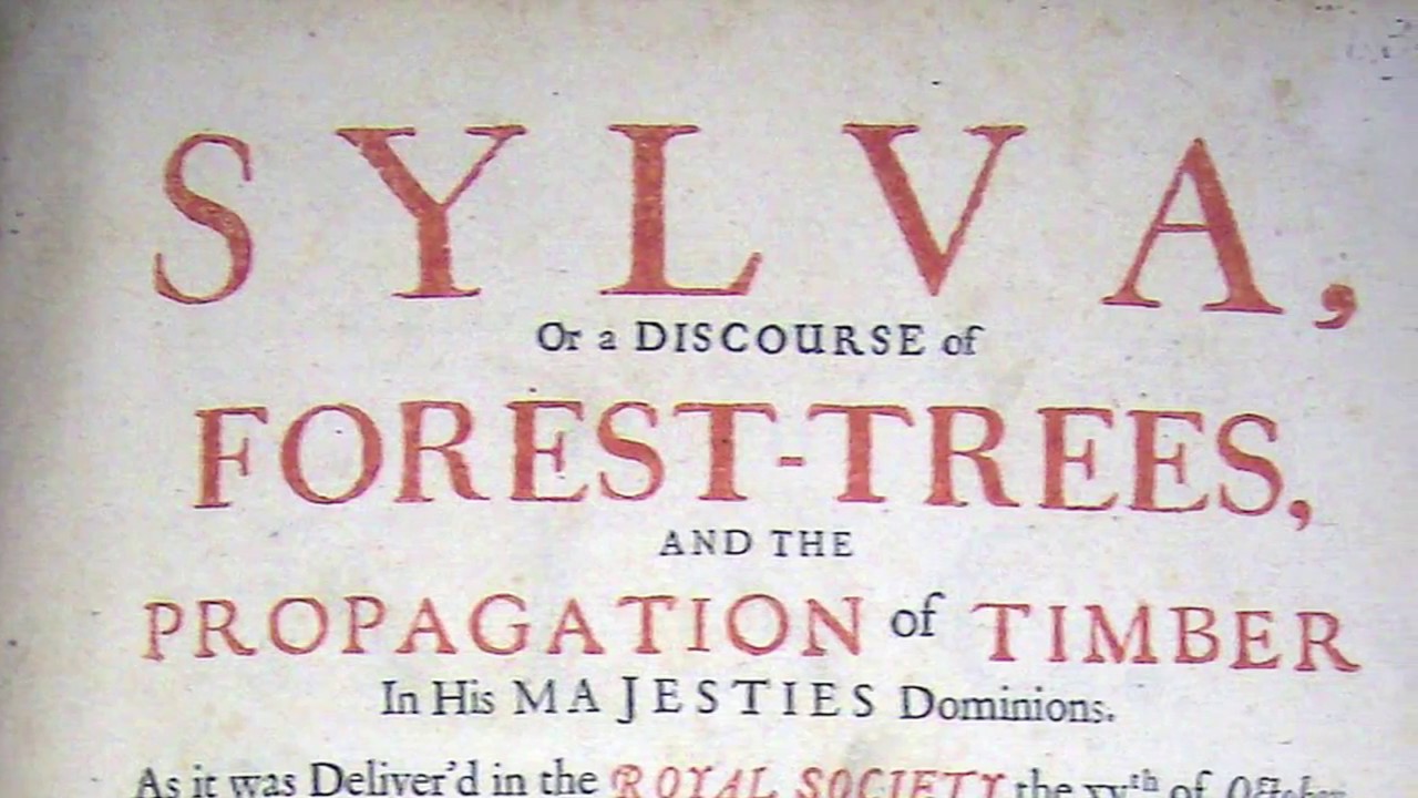 Sylva (exhibition film, 8min. Scotland, 2014)