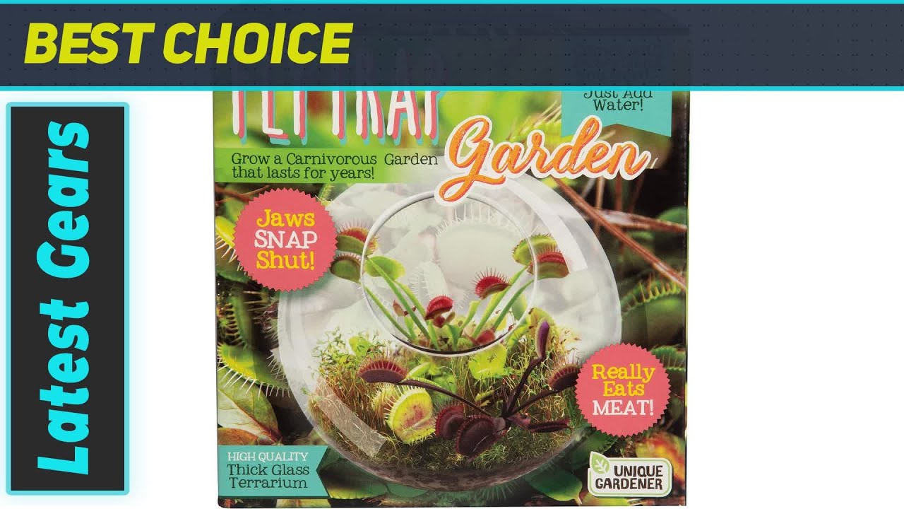 Carnivorous Fly Trap Terrarium Kit by Unique Gardener - The Best Way to Grow Venus Flytraps!