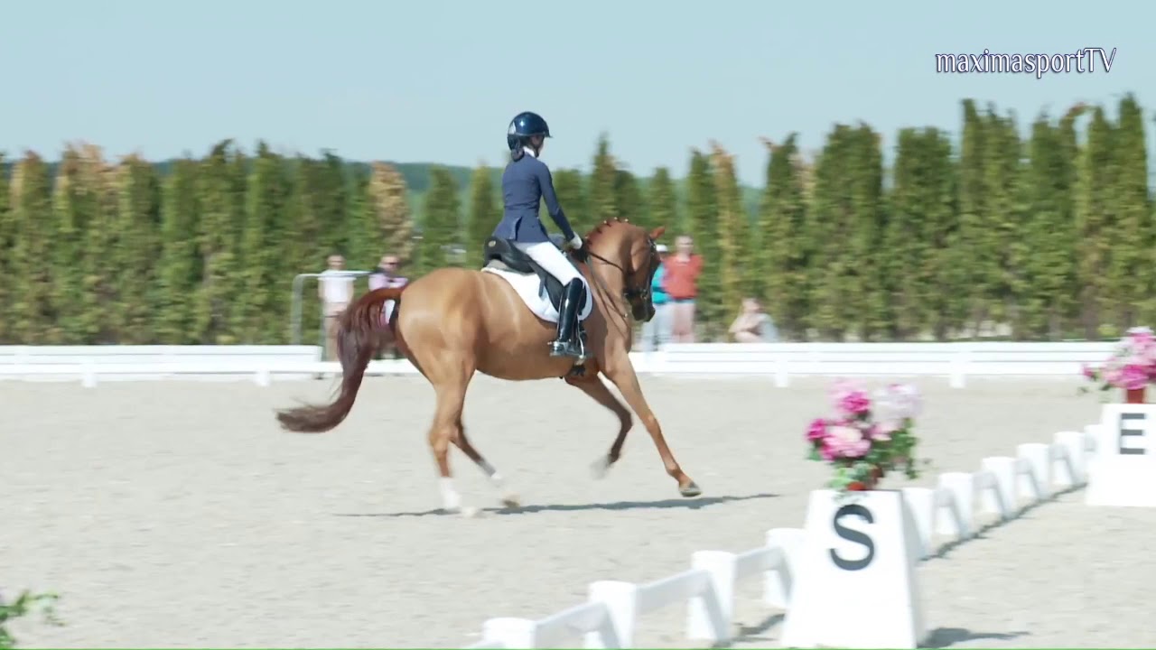 REPRISE DE DRESSAGE | Reprise Amateur 3 : Commentées par Isabelle Judet – Juge 5* Internationale