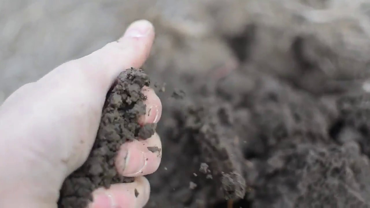 Why we map our fields...