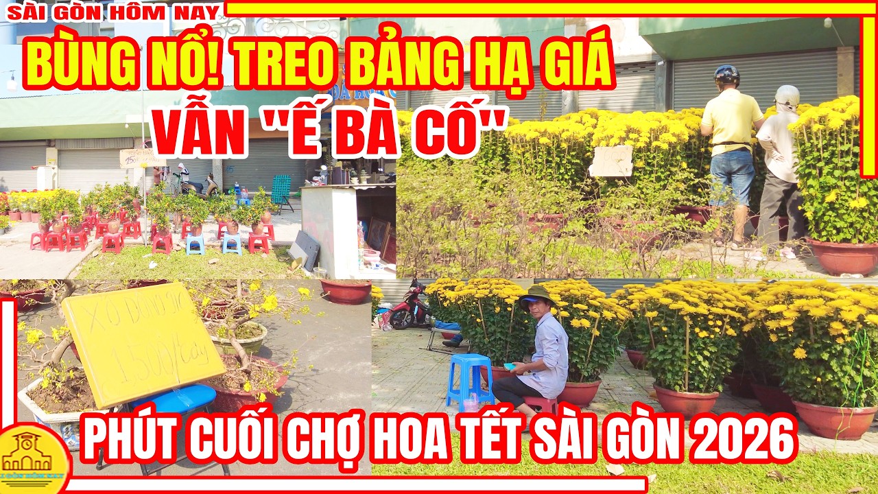 BÙNG NỔ! TREO BẢNG HẠ GIÁ 