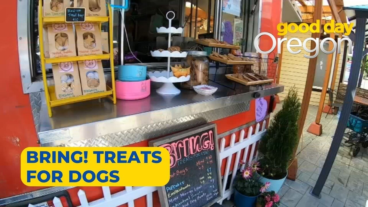 Portland finally has a dog food truck called 'Bring! Treats for Dogs'