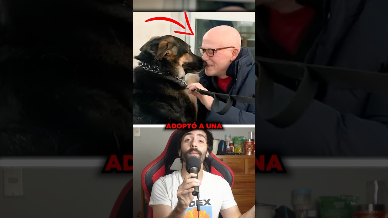 &Eacute;l adopt&oacute; a una perrita que NADIE quer&iacute;a y ella le SALV&Oacute; la vida ❤️ #sabiasque #curiosidades