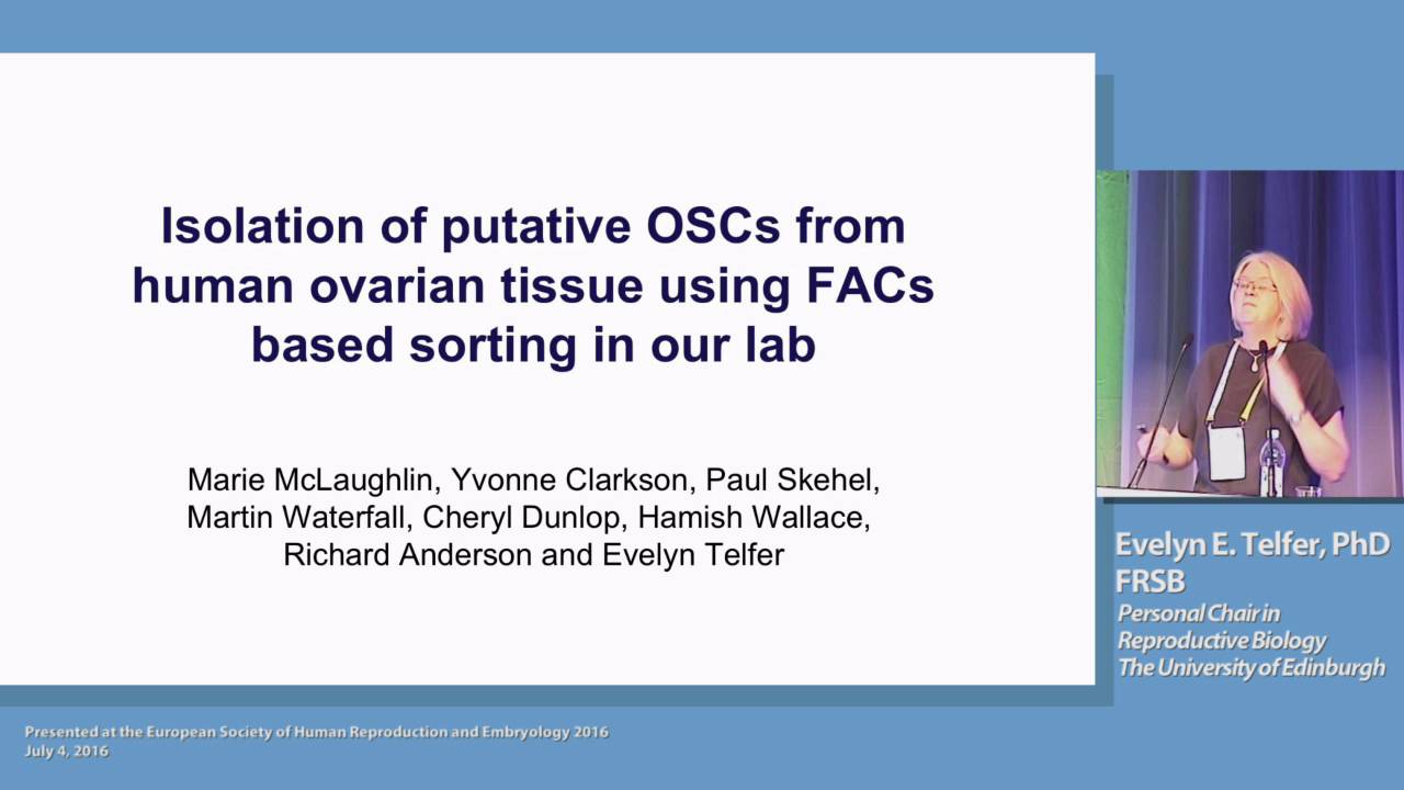 Isolation and characterisation of putative ovarian germ line stem cells