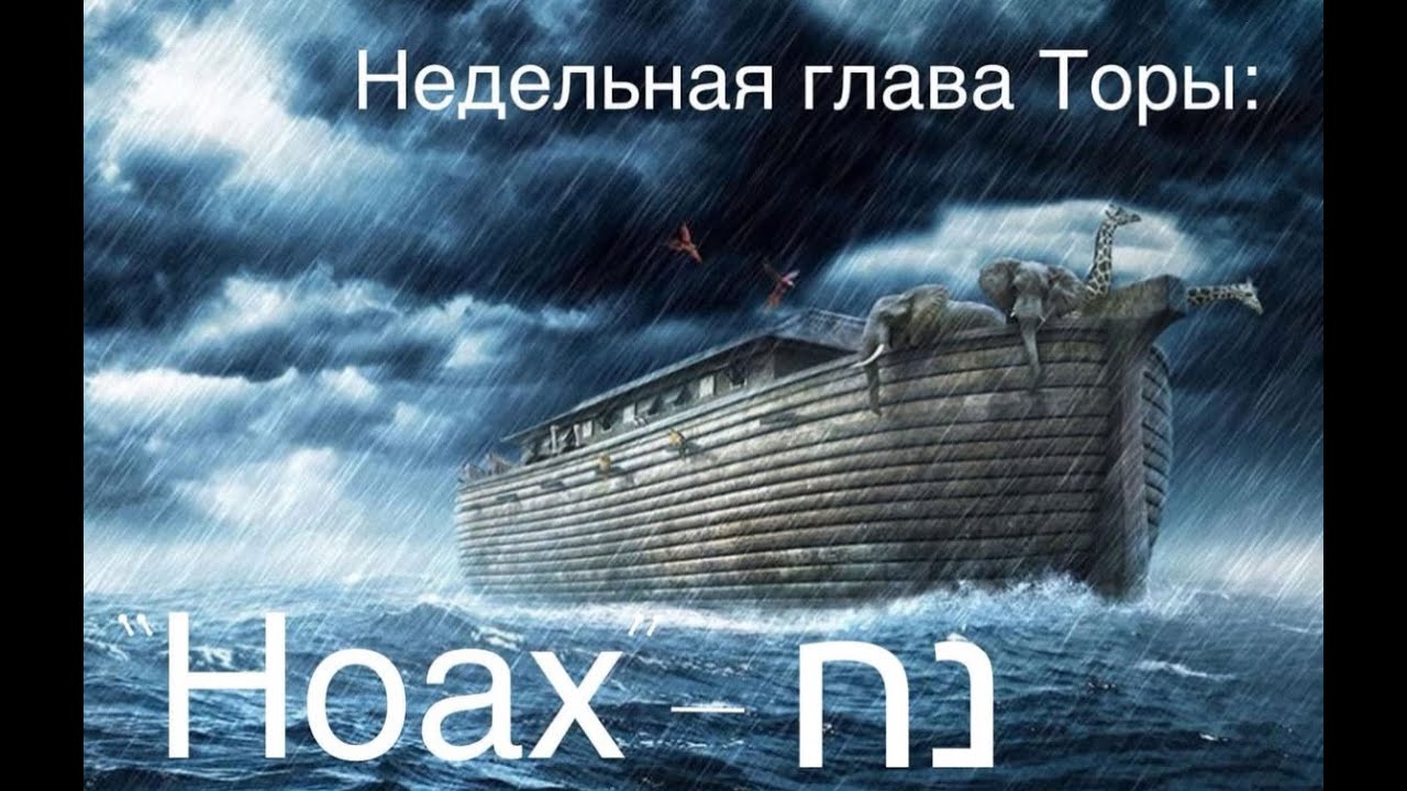 Прямой эфир - Недельная глава Торы: 