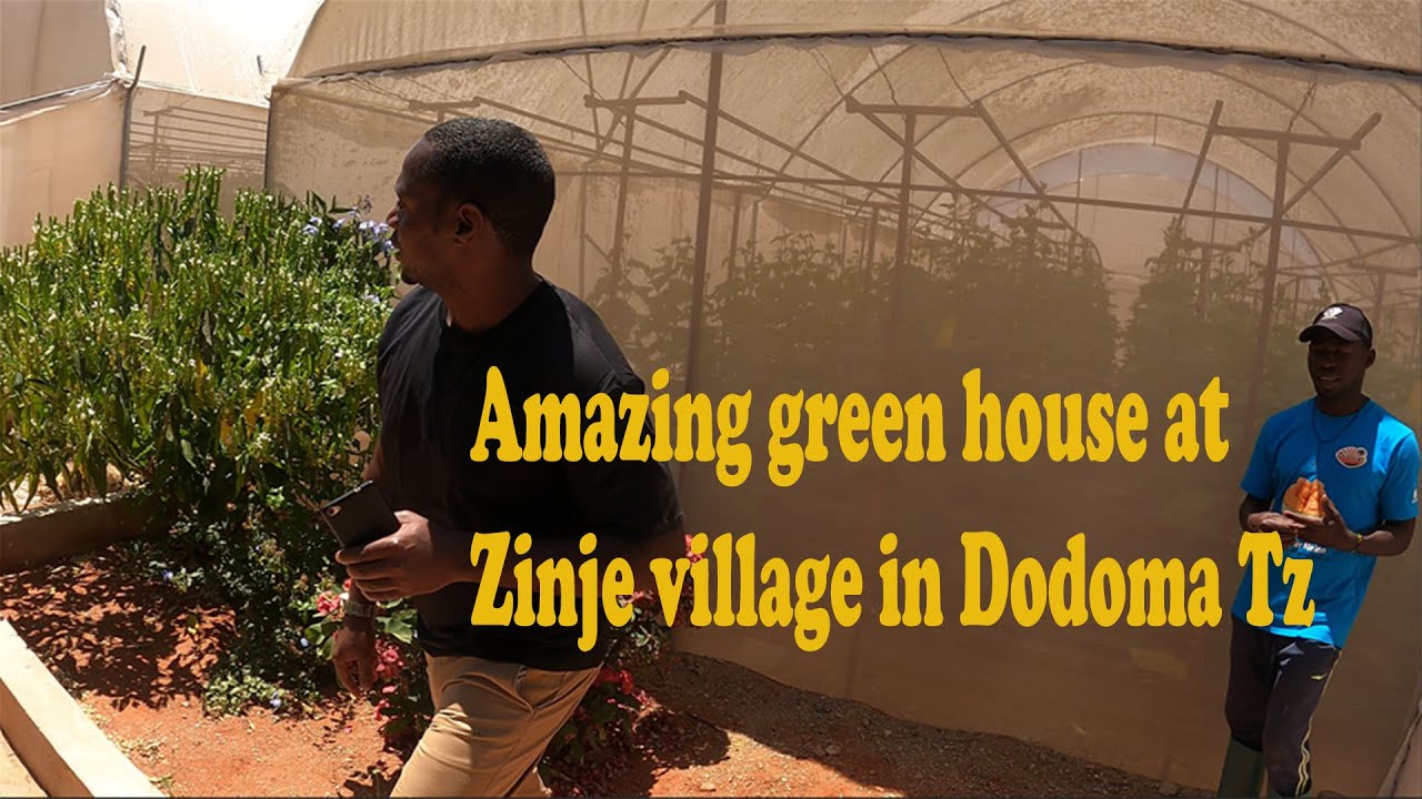 SEE THIS GREENHOUSES AT THE VILLAGE IN DODOMA TANZANIA