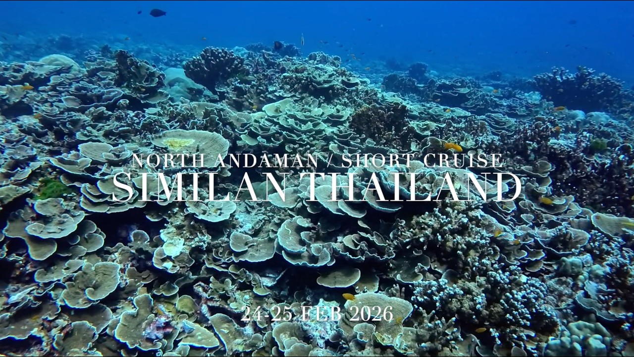 24-25 FEB 2026 | NORTH ANDAMAN SHORT CRUISE | MV KOON9