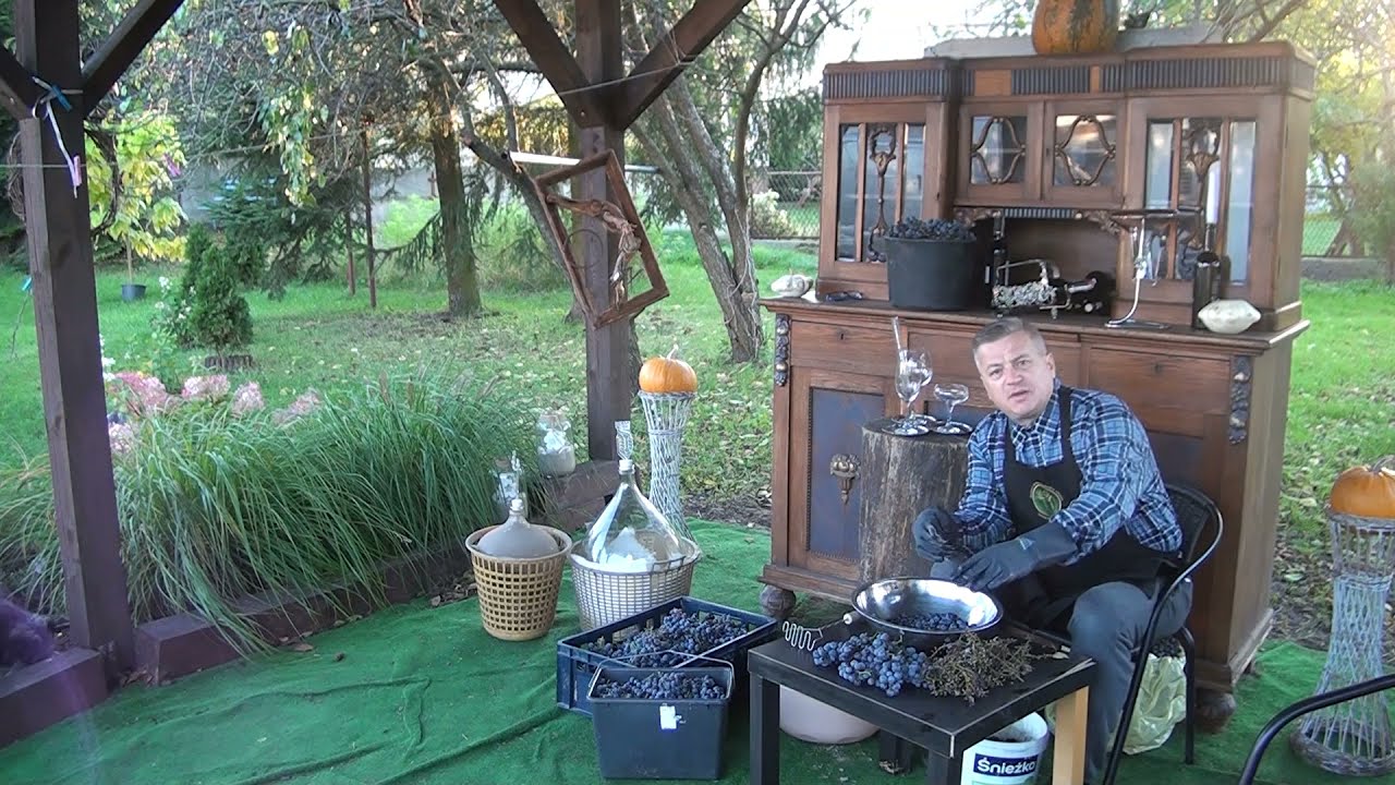 Jak zrobić wino z domowych winogron Część 1
