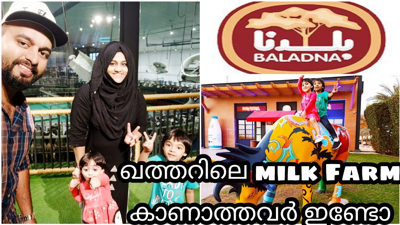 Baladna Farm || Baladna Park || Place to visit in Qatar || 4000 cow in Qatar @MEHNAZNISHAD