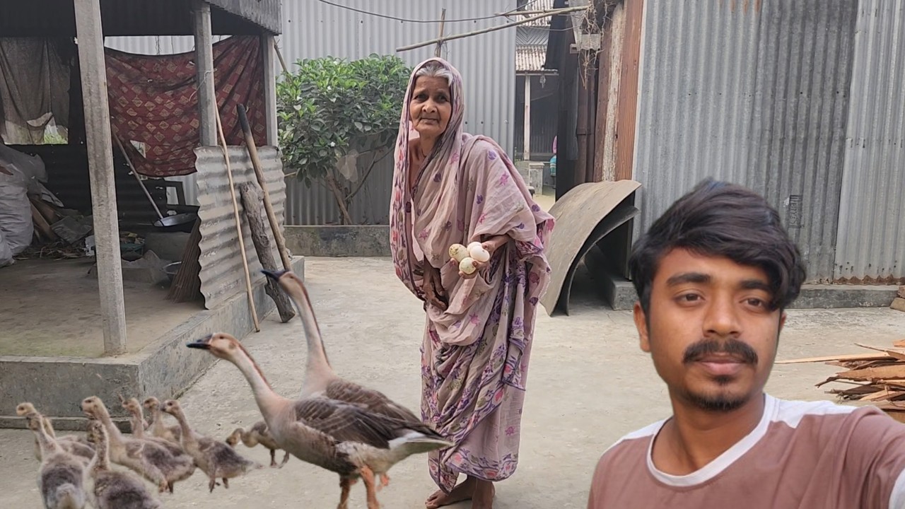 আজ আপনাদের কমেন্টের উত্তর দিতে বাধ্য হলাম । Our  Simple Village Life Style Vlog | Village Vloger |