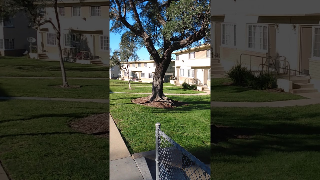 Harbor Hills (Housing Project) Sun. Feb 21, 2021
