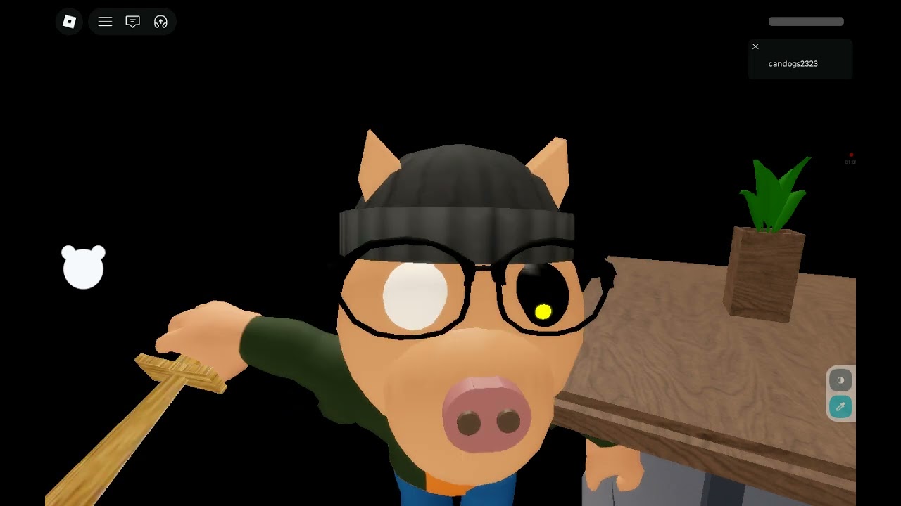 Piggy
