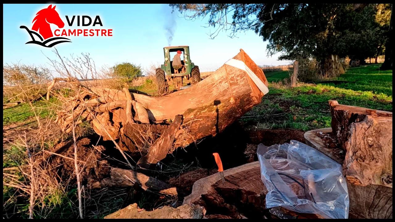 VIDA CAMPESTRE - EL TRACTOR TRABAJANDO A TODA POTENCIA