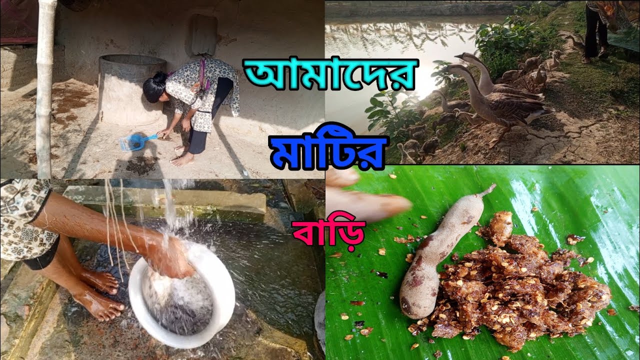 আমাদের মাটির বাড়ি ও চারপাশের প্রকৃতির মনোরম পরিবেশ #rural #ruralvlog #village #vlog