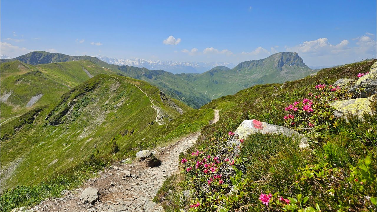 Saalbach Hinterglemm hiking - 12er Kogel, Hohe Penhab - 06/2025 | Pinzgau & Beyond