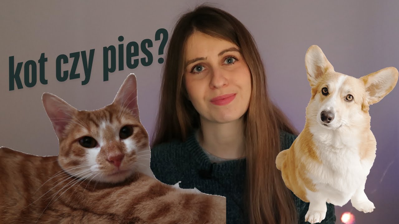 Polish for Beginners: Talking About Preferences in Polish (A1)