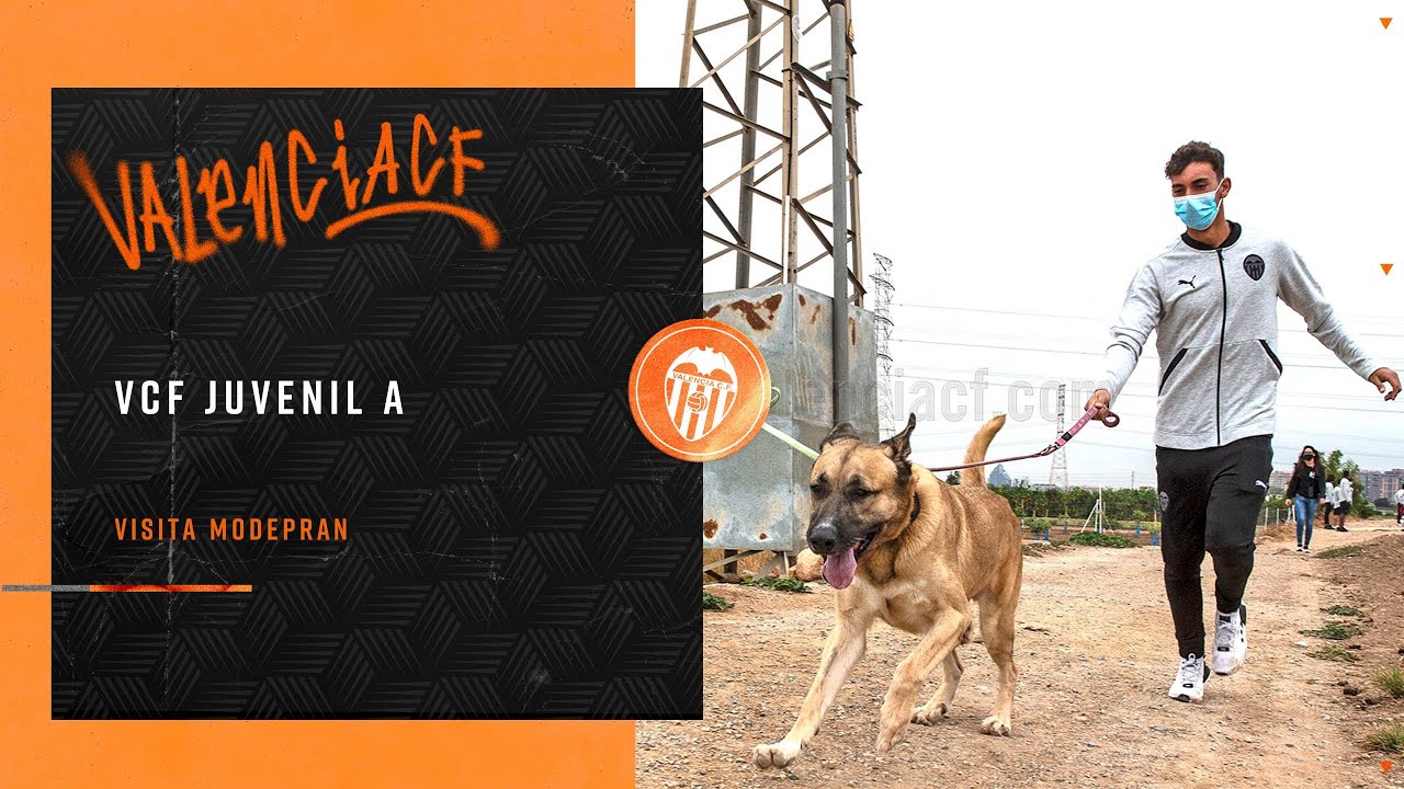 EL VCF JUVENIL A VISITA LA PROTECTORA MODEPRAN