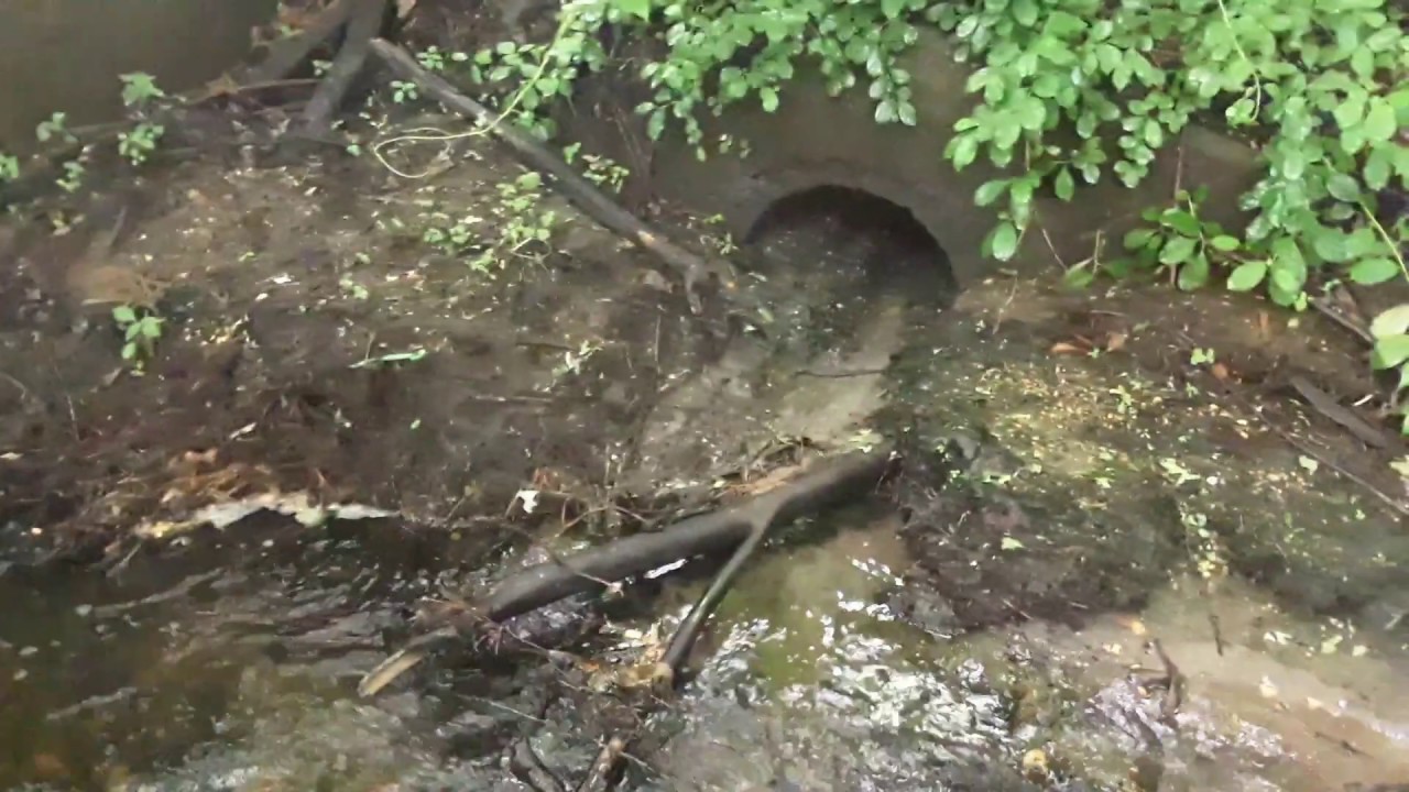 Unclogging and checking culverts I have cleared in the past