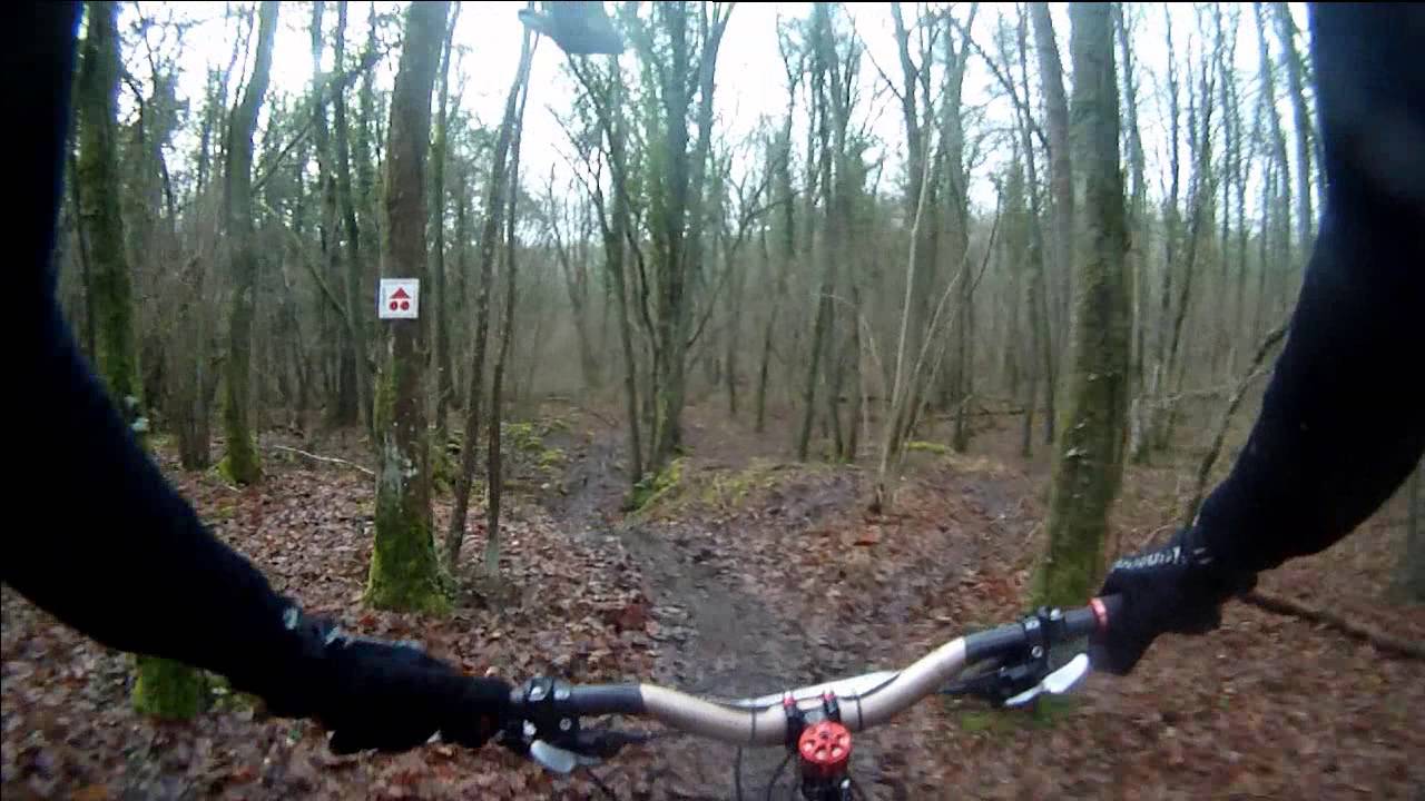 Enduro Forestier: 