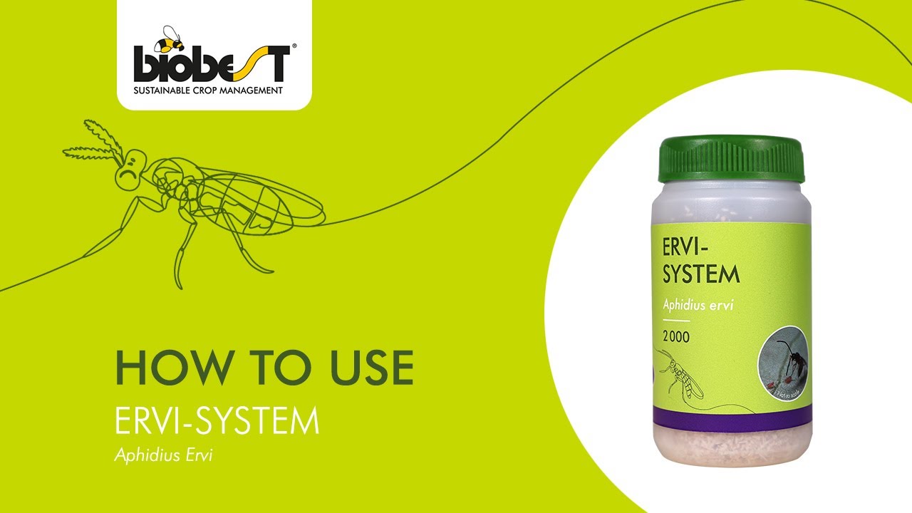 How to use Ervi-System from Biobest