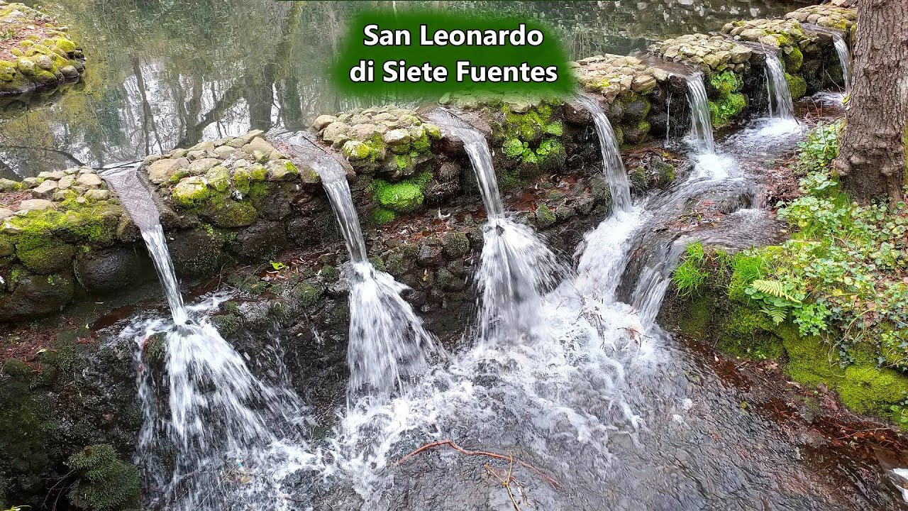 Parco di San Leonardo di Siete Fuentes a Santu Lussurgiu ~ 28 Febbraio 2021 | Sardegna