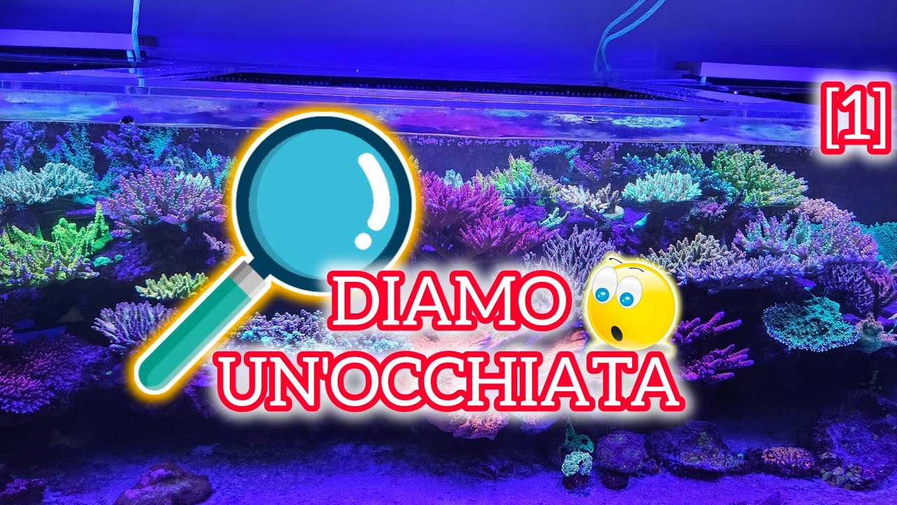 VEDIAMO LE VOSTRE VASCHE 🔍