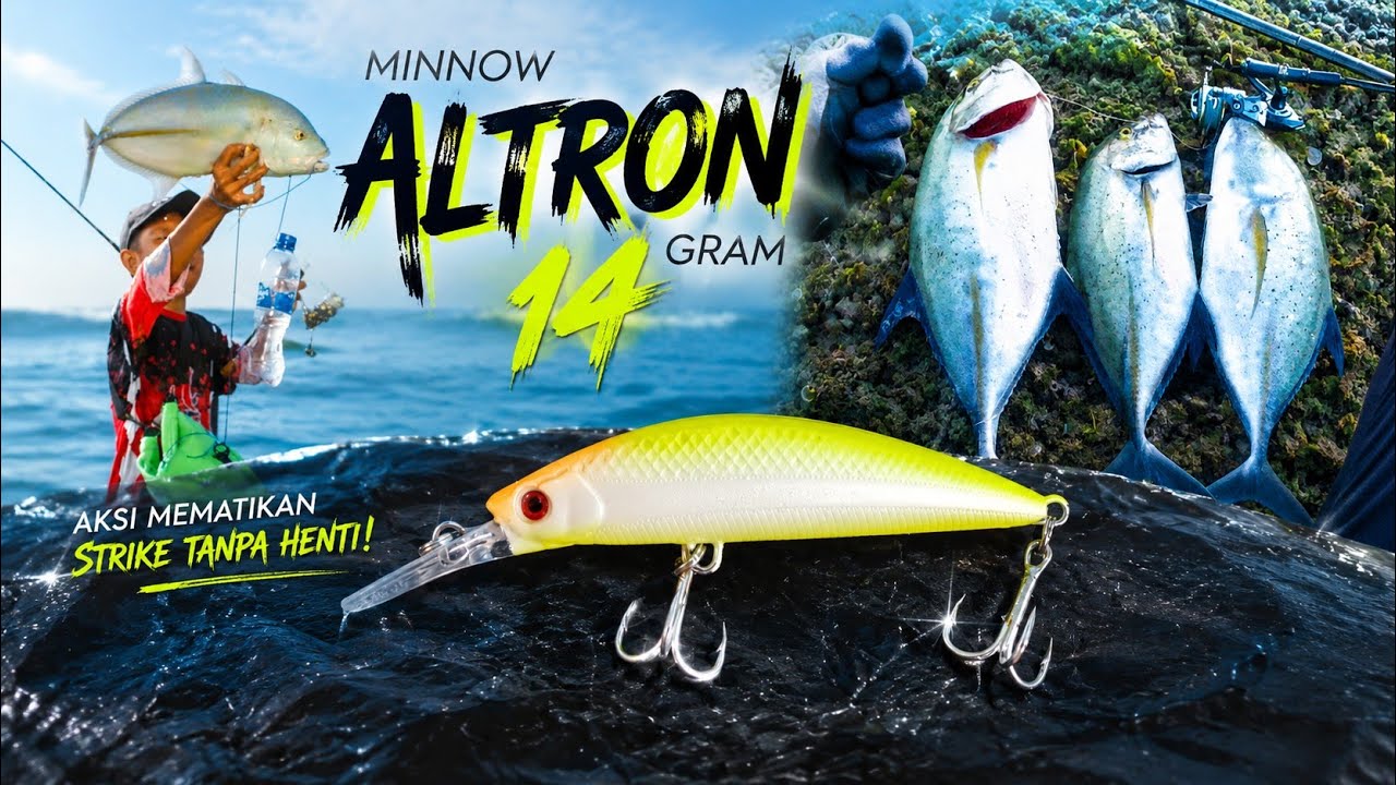AMIS BANGET ‼️UMPAN ini bikin KOSONG BLUEFIN TREVALLY di spot. 🎣 Mancing Casting Karang Dangkal