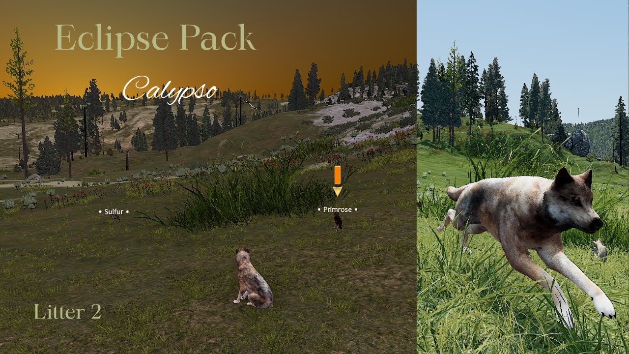 Eclipse Pack - Calypso L2 - Rendezvous/Grow Pups [WolfQuest Saga]
