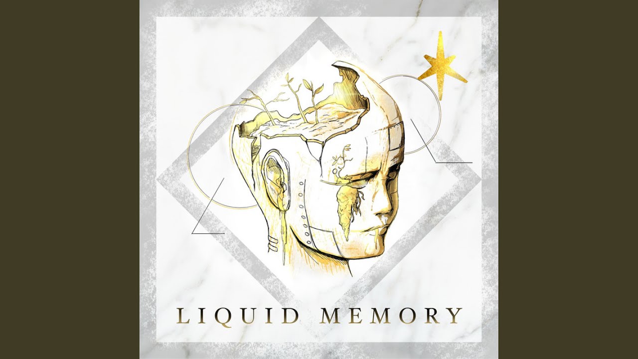 Liquid Memory